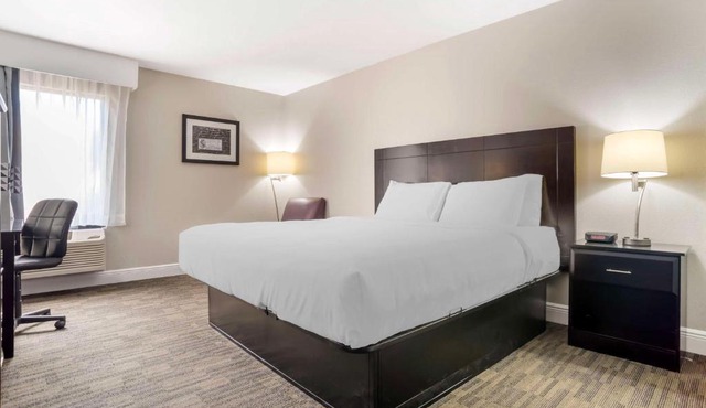 Best Western Bayou Inn