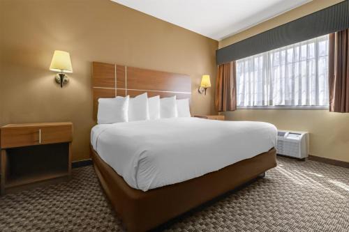 Best Western Plus Shamrock Inn & Suites in Shamrock