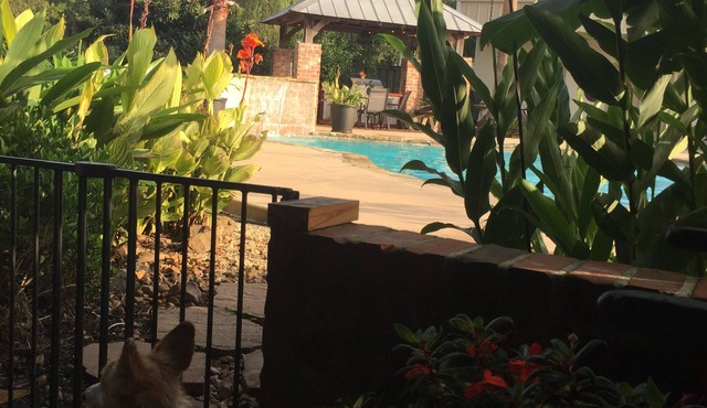 Cajun Getaway: "Home Away From Home" A little piece of paradise. Very relaxing.
