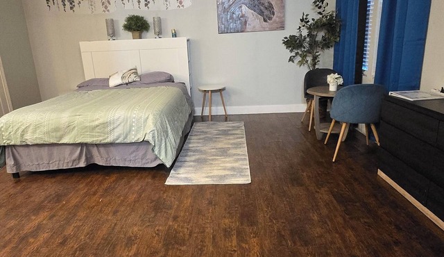 Charming 1-bedroom Studio Apartment Few Blocks from TWU