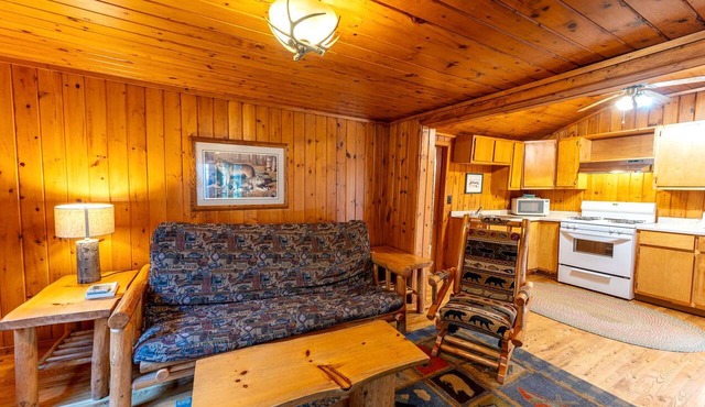 Charming Pet-Friendly Cabin in Ely, Ideal for Getaways to Nature in Minnesota in Ely