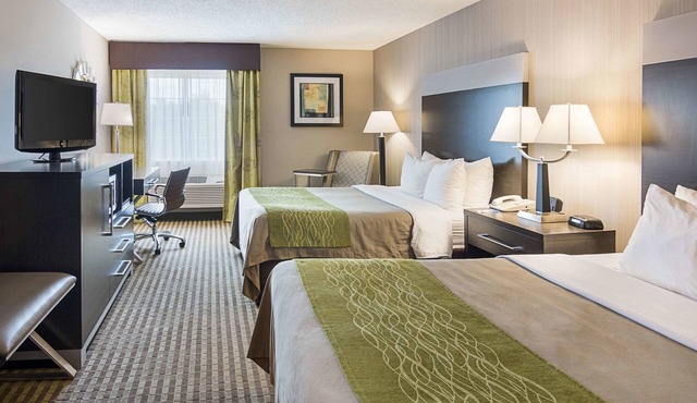 Comfort Inn Camden