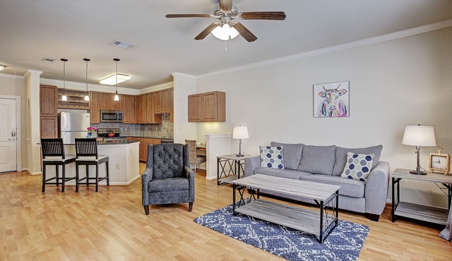 Condo Near Texas Med Center & NRG Stadium, Pet Friendly
