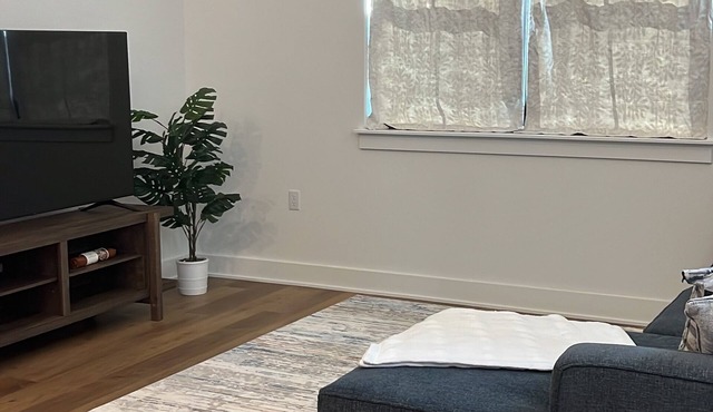 Cozy 1-bedroom apartment in Austin, centrally located in Mueller.