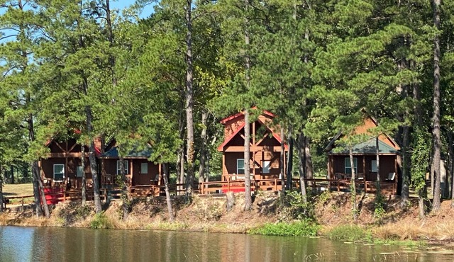 Cozy Cabin in Big Sandy