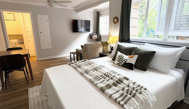 Cozy Walkable Belhaven Studio in Jackson