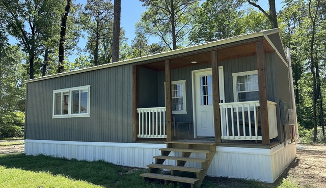 D'Arbonne Nest Rentals: The Gator's Nest