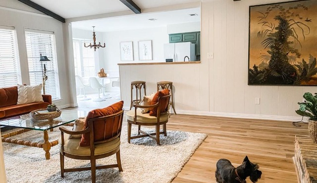 Designer Single Story 4 bed 3 bath home in mid-century style with big backyard and garage