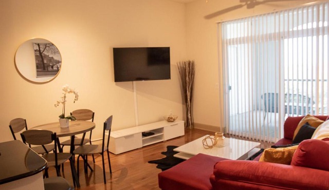 Discounted Penthouse w/ NRG View in the Med Ctr