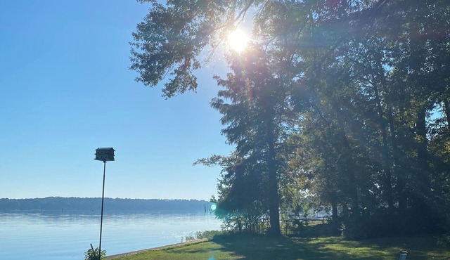 Experience Escape to Serenity Lake House on Lake D'Arbonne