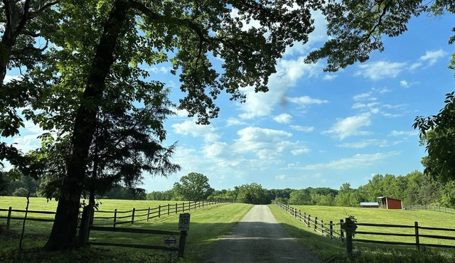 EXPERIENCES, connection, nature & luxury await you on 50 acres! in Powhatan