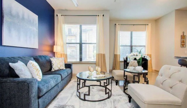 Exquisite Houston Med. Center 2B/2B Apartment Free Parking