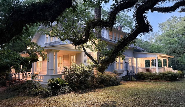 Fairhope's 1910 Tin Ceiling Treasure · 2 Kings · Live Oak Acre