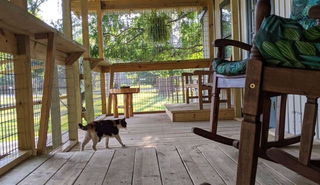 Gerries Place1 - PRIVATE- Unique Cottage- Rescue Llama Ranch - Suburb of Houston