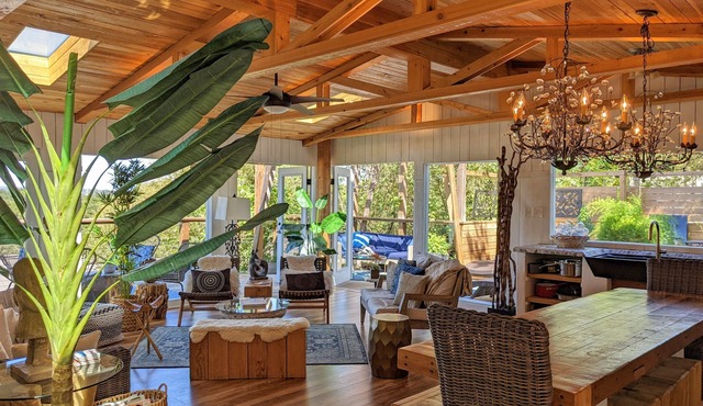 Glass Treehouse BARTON SPRINGS POOL-PARKSIDE PENTHOUSE w/VIEWS-Costa Rican vibe