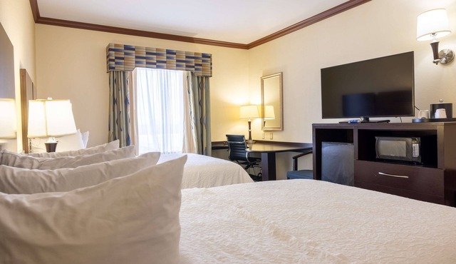 Hampton Inn Alice