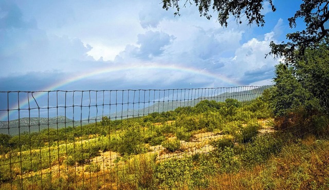 Hill Country Nueces River Property