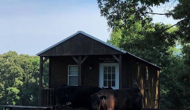 Holland Hill Cabin on a Pond