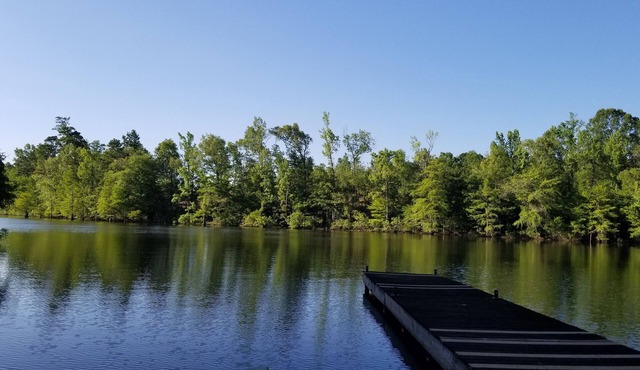 LAKE EFFECTS - WATERFRONT w/PIER & FIRE PIT, WIFI, BEAUTIFUL & PEACEFUL 3BR/2BA