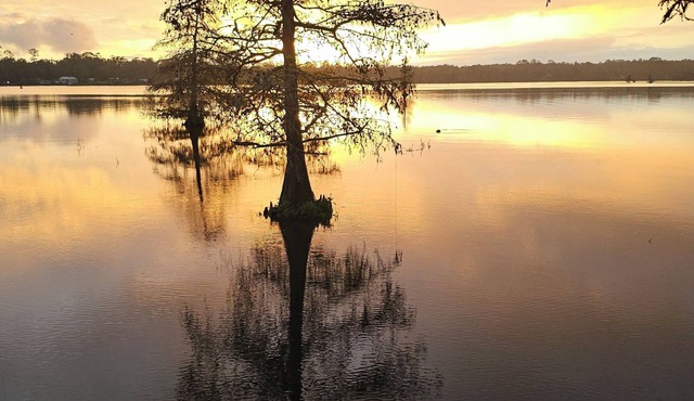 Lake front lot for rent.
