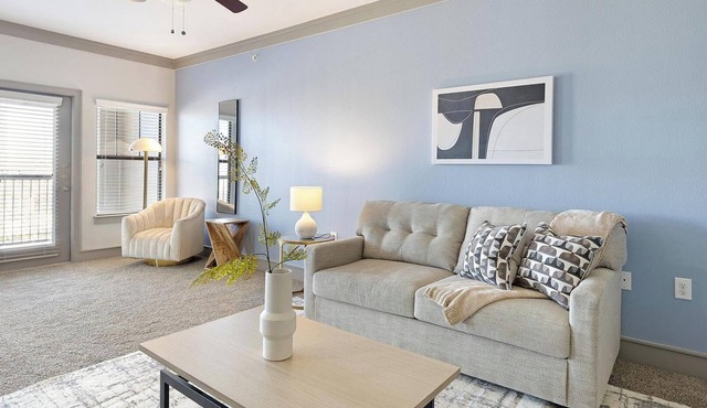 Landing | Amazing 1BD, Clubhouse