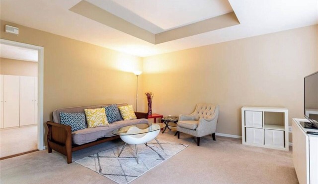 Lovely condominium in cedar springs