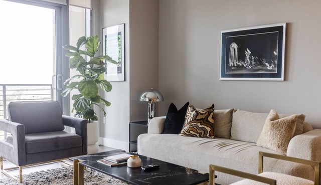 Luxury Apt in Downtown Dallas