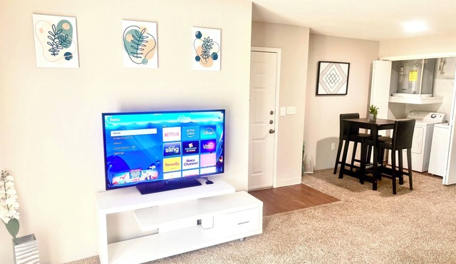 Med Center ONE BEDROOM APARTMENT. Sweet home away from home.