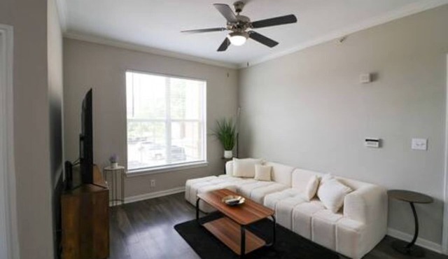Modern 1BR in Magnolia Close to The Woodlands