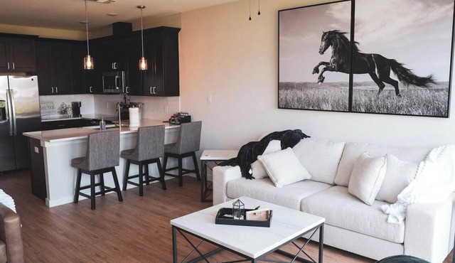 New 2025 Luxury Townhome Next to Tarleton State