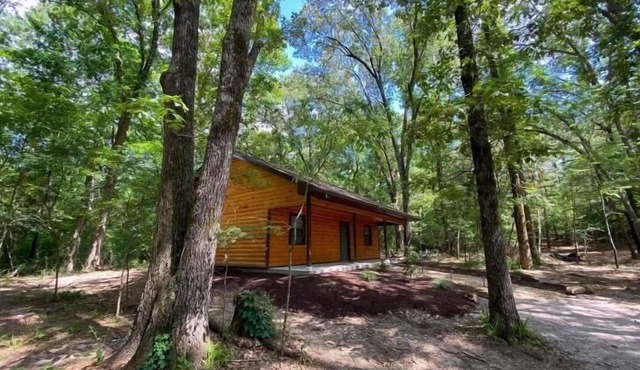 NORTHWOODS BASECAMP: Bike or Hike right from the Nighthawk Cabin!