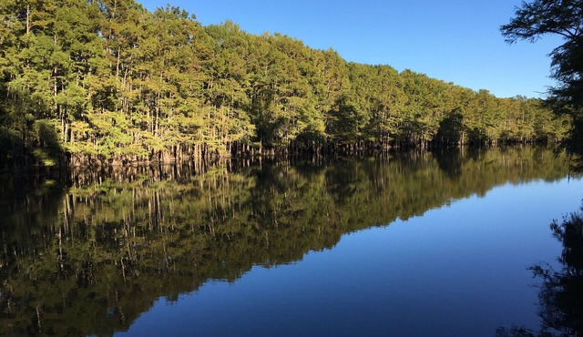 One of a Kind-Get Away/Big Cypress Bayou Near Jefferson&Caddo