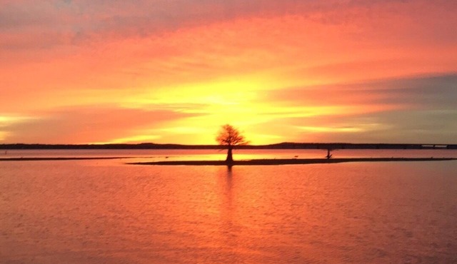 One of the best views of the lake on Toledo Bend…least thats what our guests say