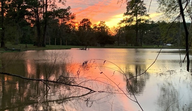 Our Happy Place Farm - 2 Bedroom Cabin near Lake Conroe