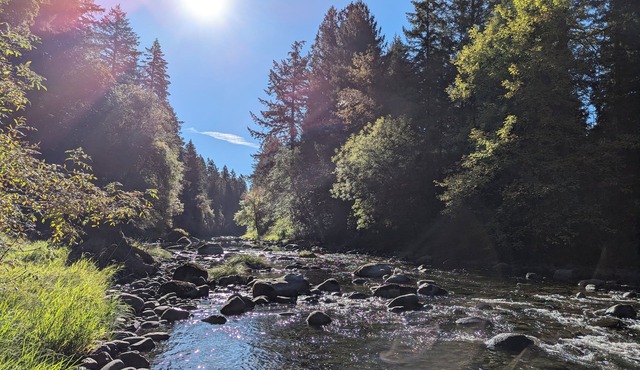 Peaceful Riverfront Escape for Relaxation or Remote Work in Battle Ground