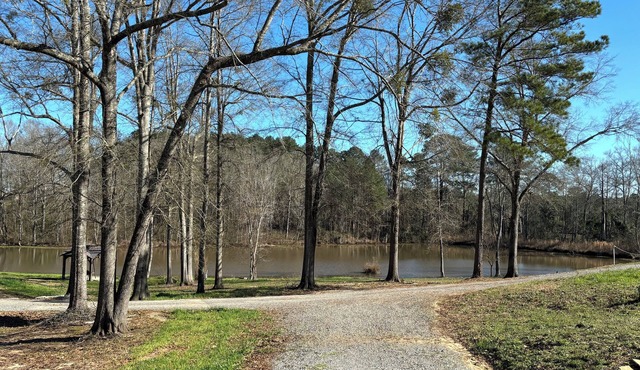 Perfect cabin with a pond! Peaceful place to fish, kayak or enjoy nature.