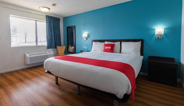 Premium King Bed|Nsmk