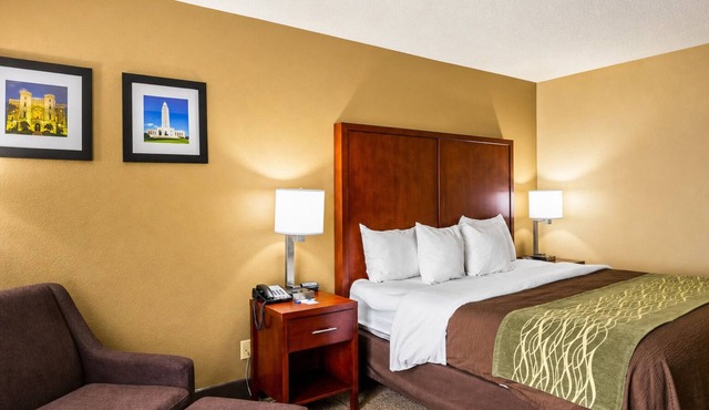 Prime Baton Rouge Location Near LSU Museum, Zoo, and Riverfront Dining
