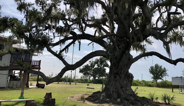 Quaint, peaceful apt near Rockefeller Refuge/Mermentau river Grand Chenier, LA