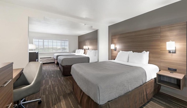 Quality Inn Near Seaworld - Lackland