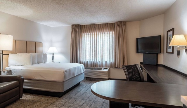 Queen Bed Suite | Pet Friendly | Free Parking