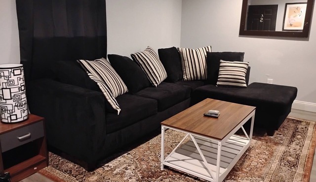 Relaxing 1BR Near Downtown, TMC, NRG & Astros