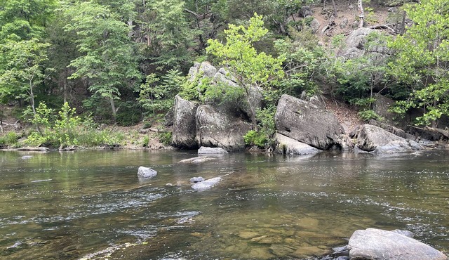 River Perch on the Cacapon: private home on 27 acres and 1200 ft of riverfront in Yellow Spring