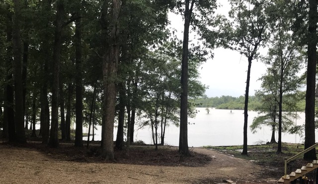 Secluded Toledo Bend hideaway