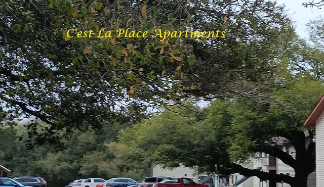 Spacious Furnished 2 Bedrooms, 1 Bathroom Apartment! Your Home Away from Home