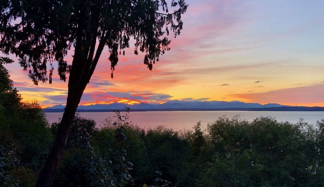 Spacious Romantic Salish Sea View Suite on Luxury Seattle Estate in Seattle