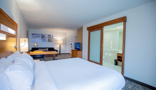 SpringHill Suites by Marriott Baton Rouge Gonzales