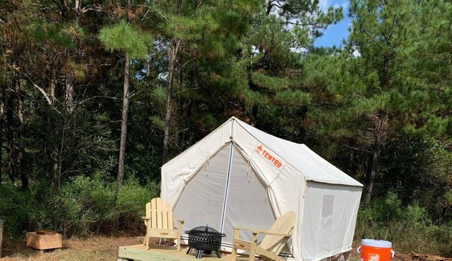 Tentrr Signature Site - HFR Campsite in the Davey Crockett National Forest #3