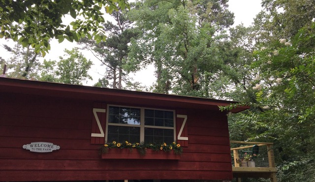 The Barn at Meadow View