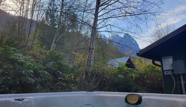 The Lily Pad - rustic cabin for 2+pets, mountain view, river access in Gold Bar